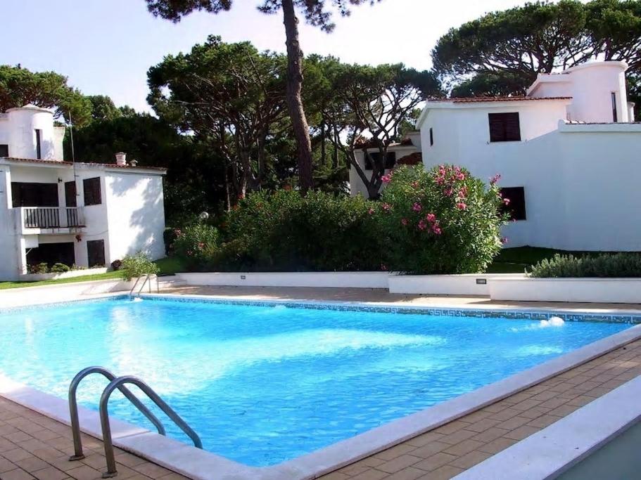 Imagem de Vilamoura Cotovia