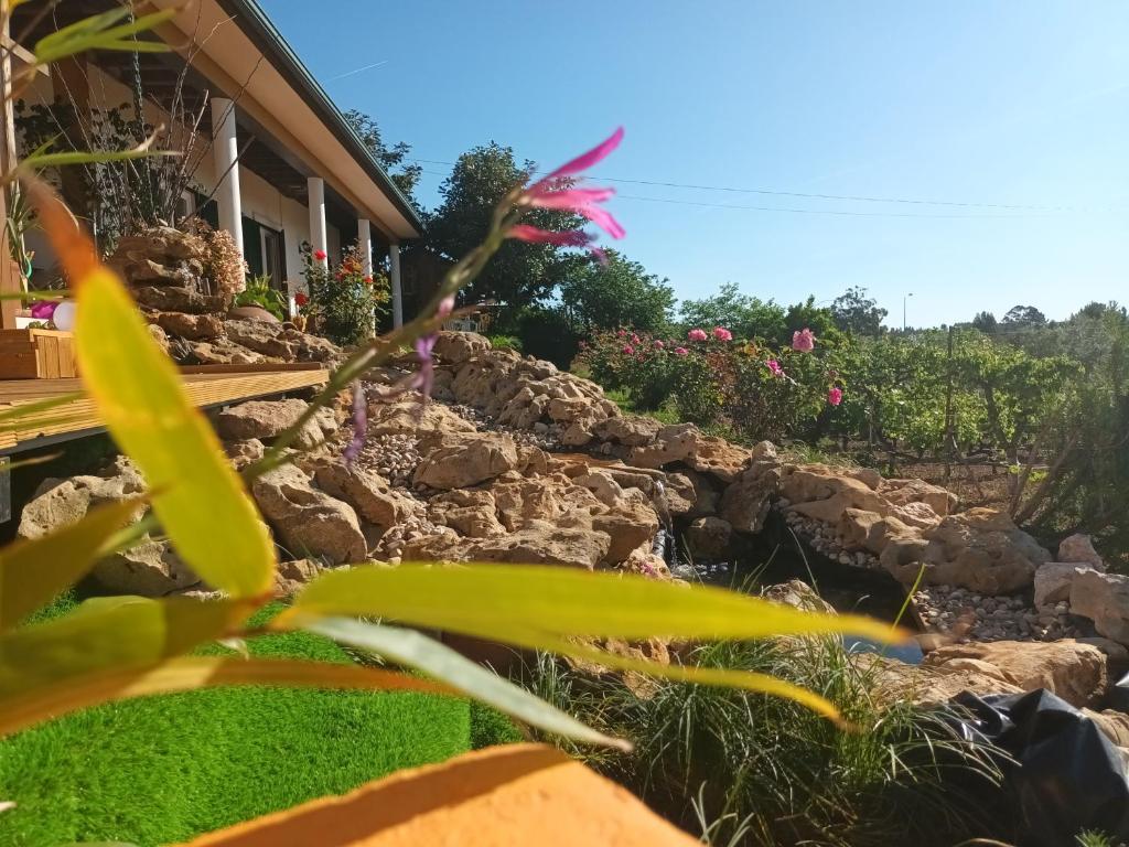 Imagem de Floresta