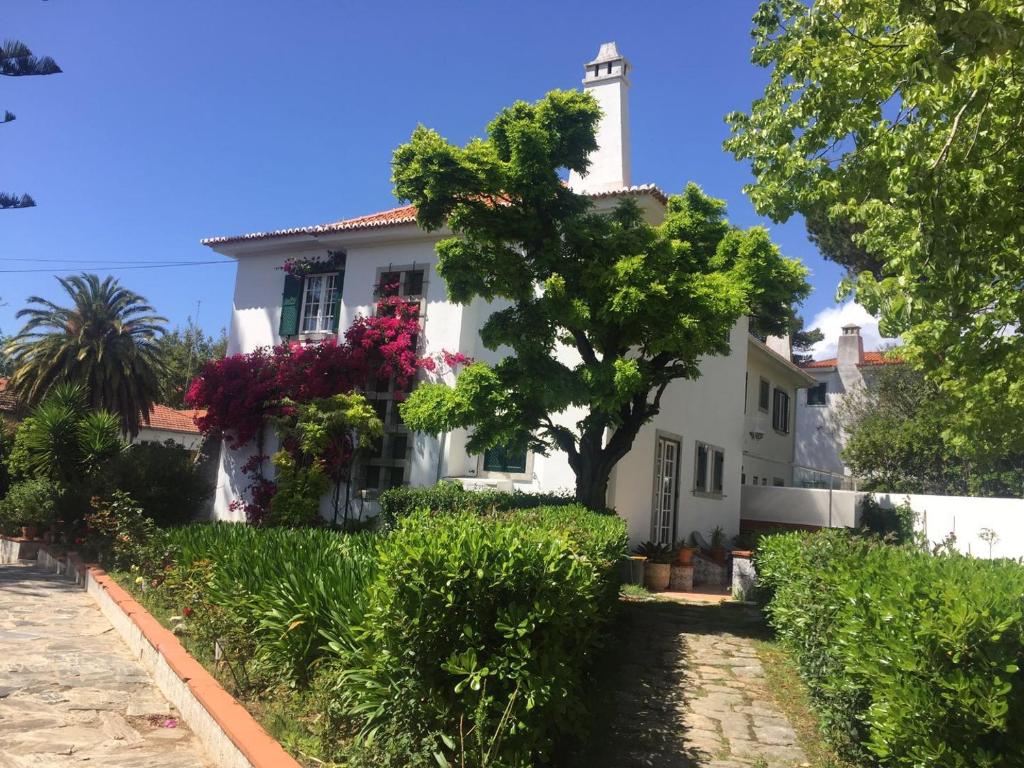 Imagem de Escape Garden Villa