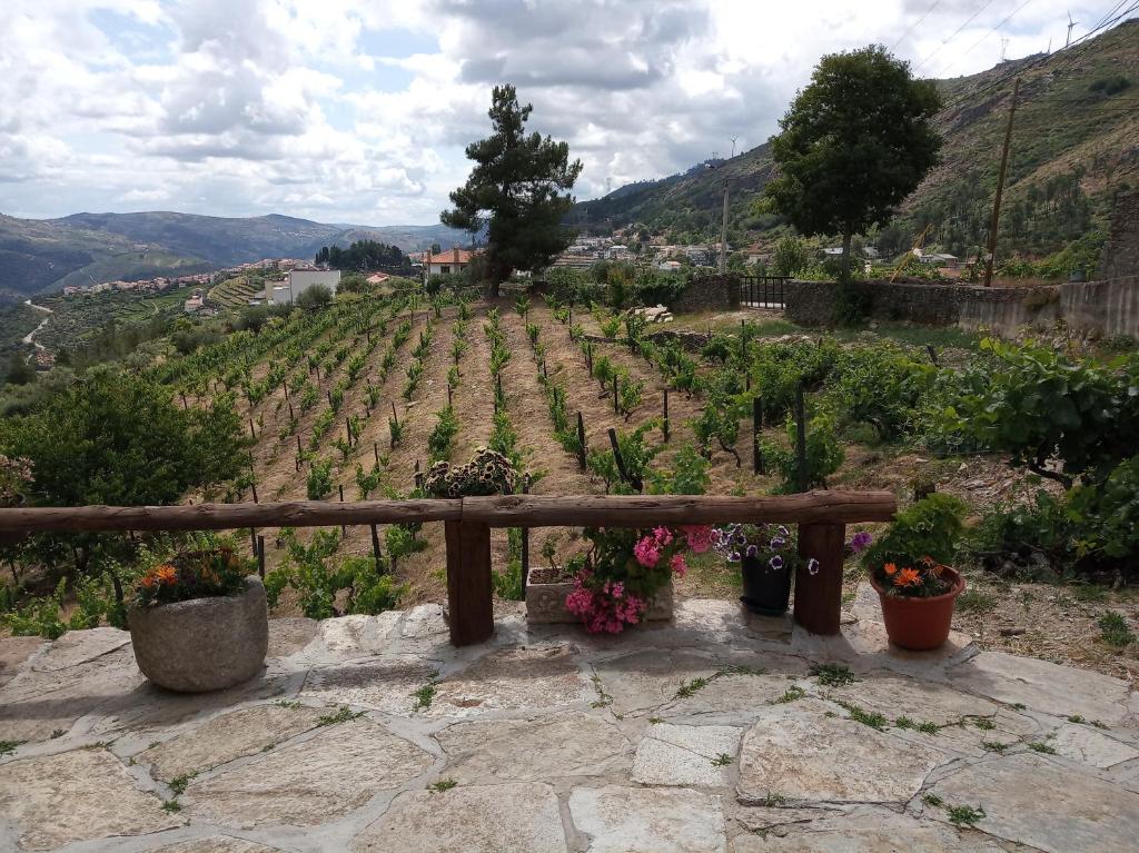 Imagem de Casa da Vinha em Tabuaço