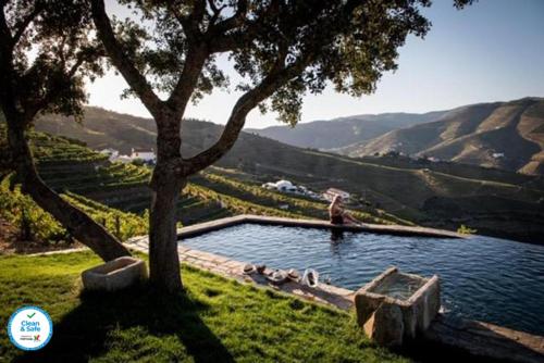 Imagem de Quinta das Cortes, Douro
