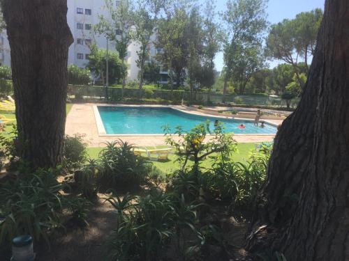 Imagem de Montesol