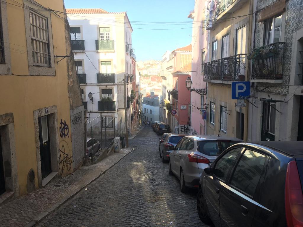 Imagem de João Pedro Leal dos Ramos