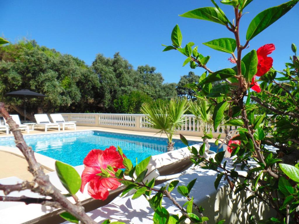 Imagem de PANORAMIC PARADISE