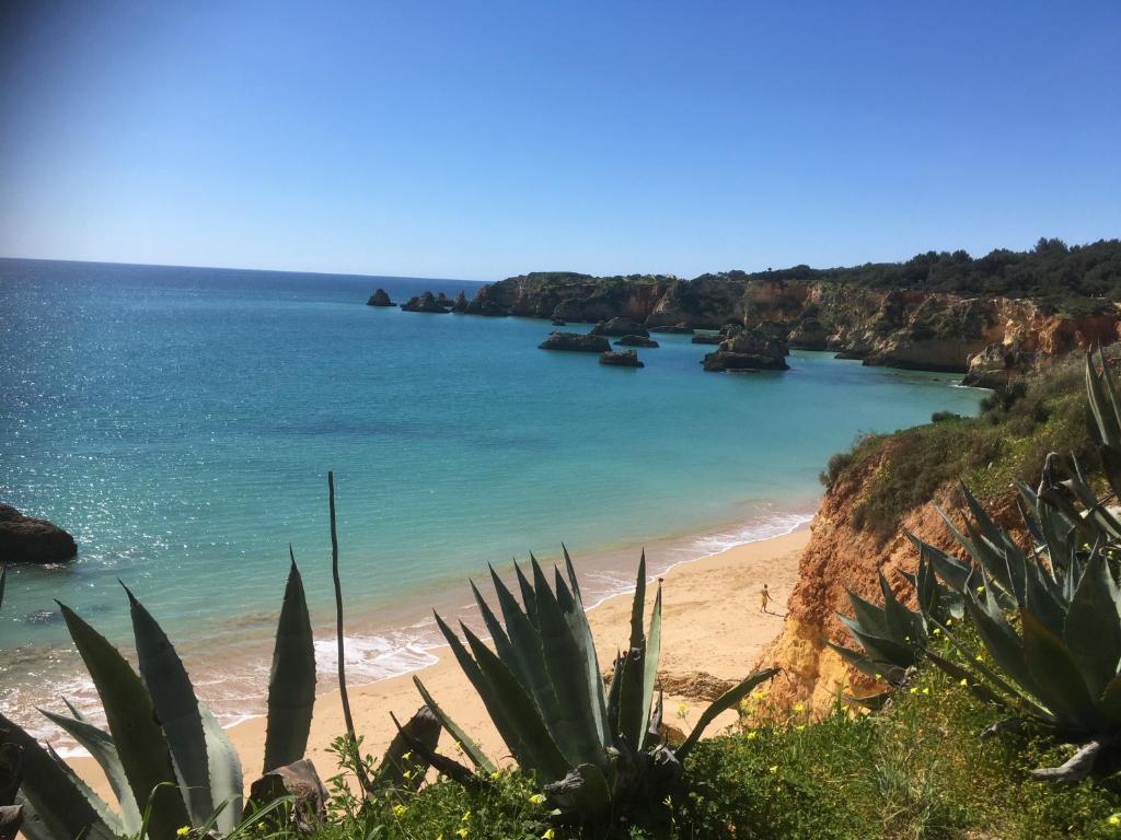 Imagem de Alvor River