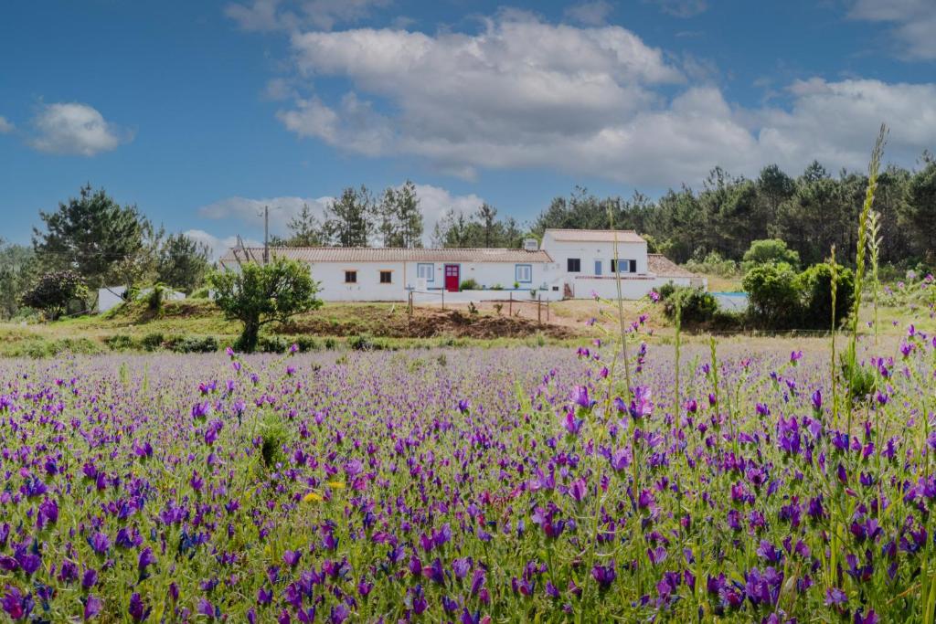 Imagem de Casa Fontinhas