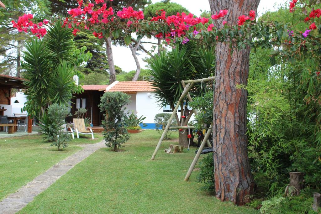 Imagem de Casa de Colares