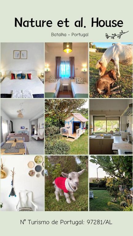Imagem de Nature et. al. House