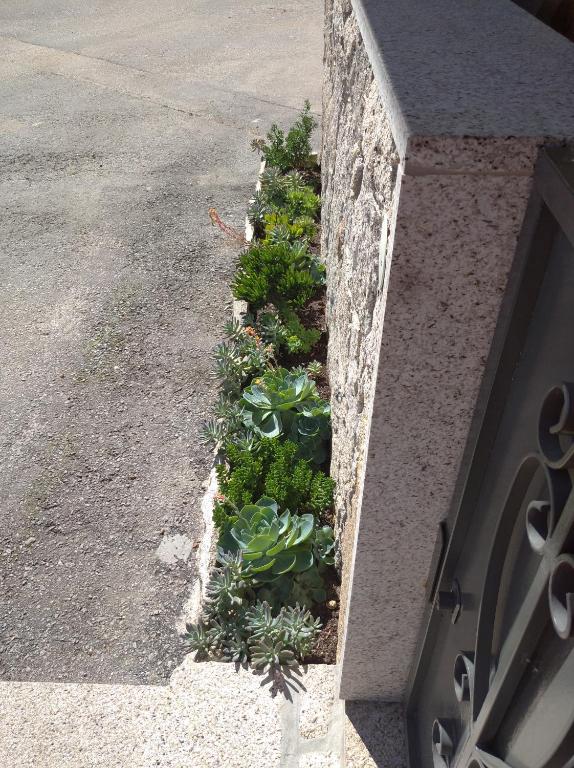 Imagem de Casa Morgado