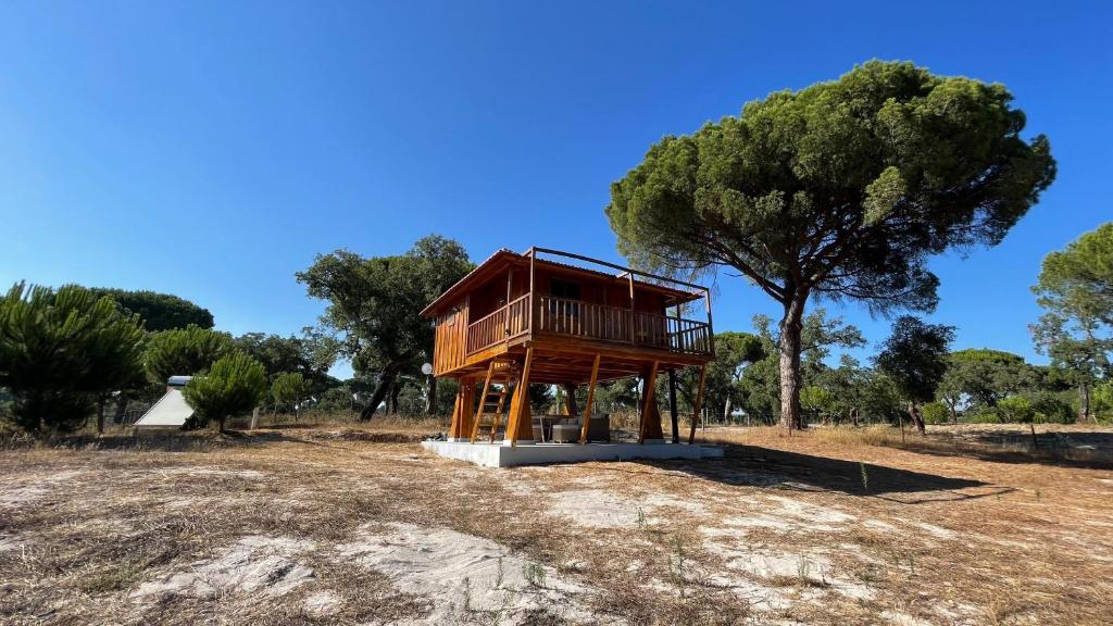 Imagem de MONTE DA CORTIÇA